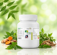 Bactimo Capsule – Internal Support for Healthy Skin