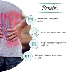 Rencal Capsule – Natural Support for Kidney Health