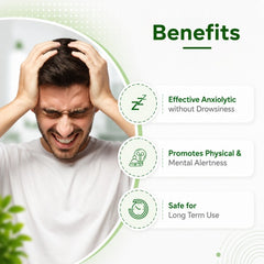 Hibril Oil – Calm Mind, Relaxed Body