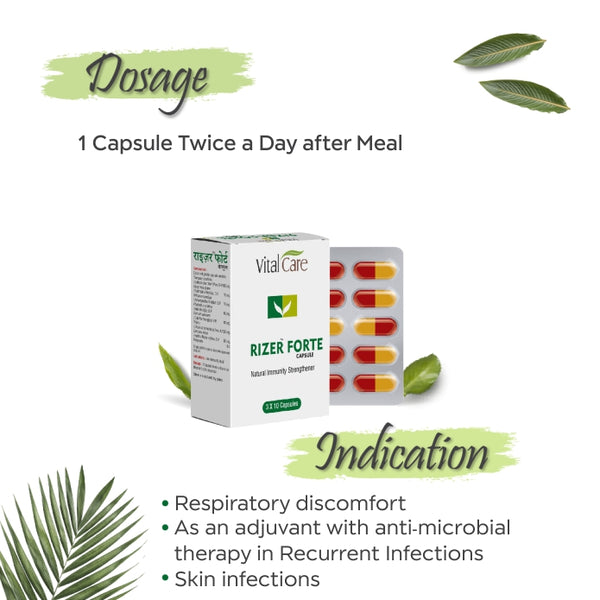 RIZER FORTE Capsule 3 X 10 - Natural Immunity Strengthener