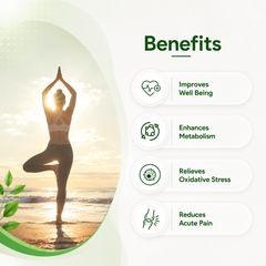 Urico-D Capsule – Natural Detox & Metabolic Support
