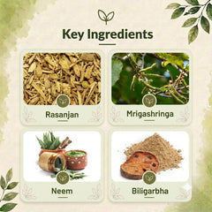 Bilvaa Capsule – Natural Support for Diarrhoea & Gut Balance