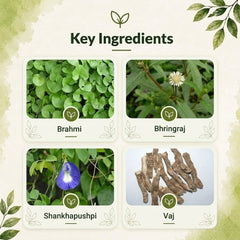 Hibril Syrup – Natural Support for Focus & Cognitive Health