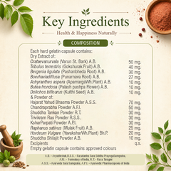 Rencal Capsule – Natural Support for Kidney Health