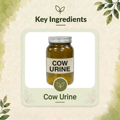 Urico-D Capsule – Natural Detox & Metabolic Support