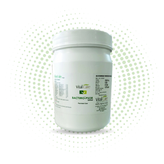 Bactimo Psor Capsule – Internal Support for Psoriasis Care
