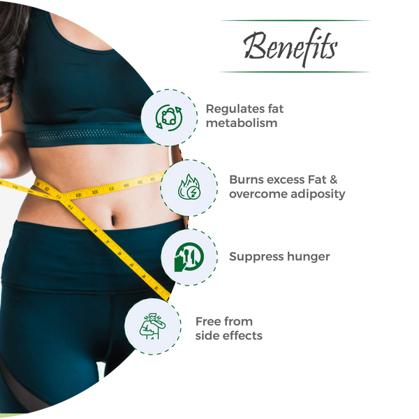 Slimit Capsules- Ayurvedic Weight Loss Medicine