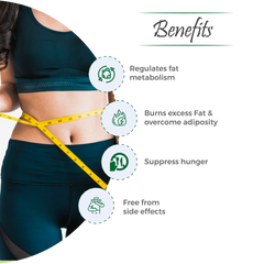 Slimit Capsules- Ayurvedic Weight Loss Medicine
