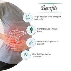 Stivil Syrup – Comprehensive Support for Liver Health