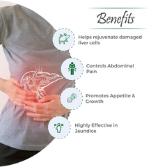 Stivil Tablet – Comprehensive Support for Liver Health
