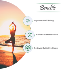 Urico-D Capsule – Natural Detox & Metabolic Support