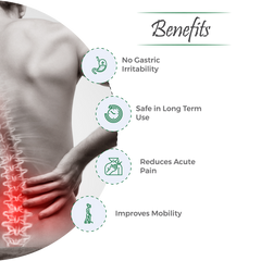 Arthrum Capsule – Targeted Relief for Joint & Uric Acid Concerns