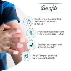 Bactimo-F Ointment – Effective Care for Fungal Skin Infections