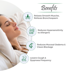 Brifril Capsules – Natural Support for Clear & Comfortable Breathing