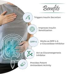 Gluset Forte Capsule – Natural Support for Blood Sugar Balance