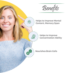 Hibril Syrup – Natural Support for Focus & Cognitive Health