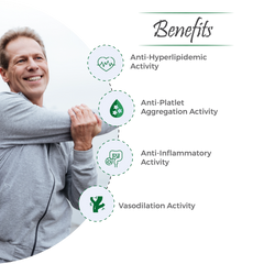 Hridton Capsule – Natural Support for Heart & Lipid Balance