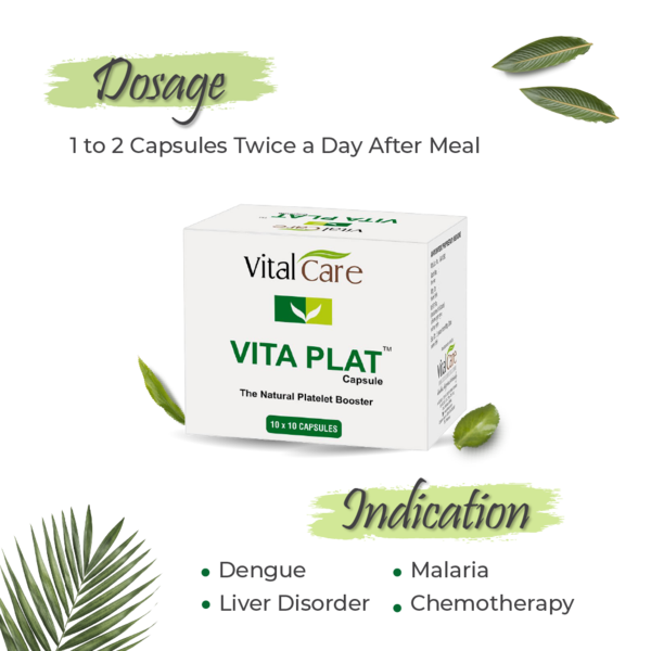Vita Plat Capsule