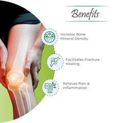Abha Capsules – Natural Support for Bone Strength & Healing