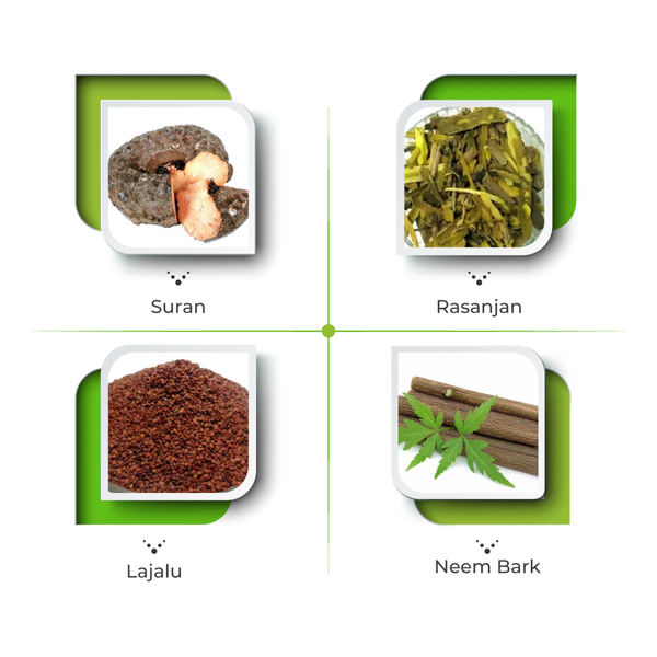 Ancare Capsule - Ayurvedic Medicine for Piles