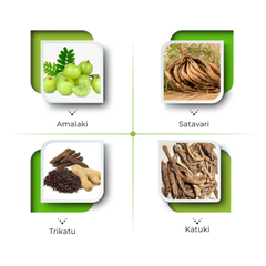 Bal Syrup – Natural Support for Healthy Appetite & Growth
