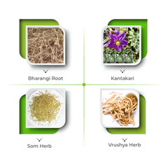 Brifril Capsules – Natural Support for Clear & Comfortable Breathing
