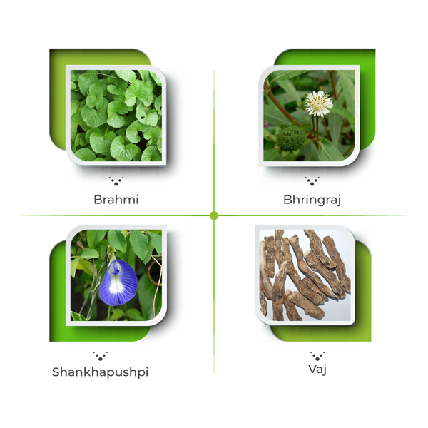Hibril Syrup - The Focused Cognitive Support
