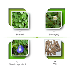 Hibril Syrup – Natural Support for Focus & Cognitive Health