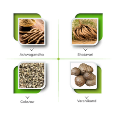 Rizer Capsules – Strength, Recovery & Daily Vitality