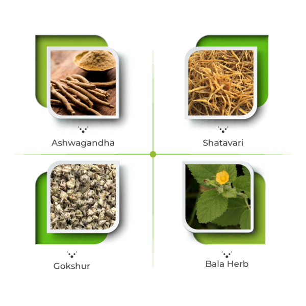 Rizer Syrup - The Family Health Supplement