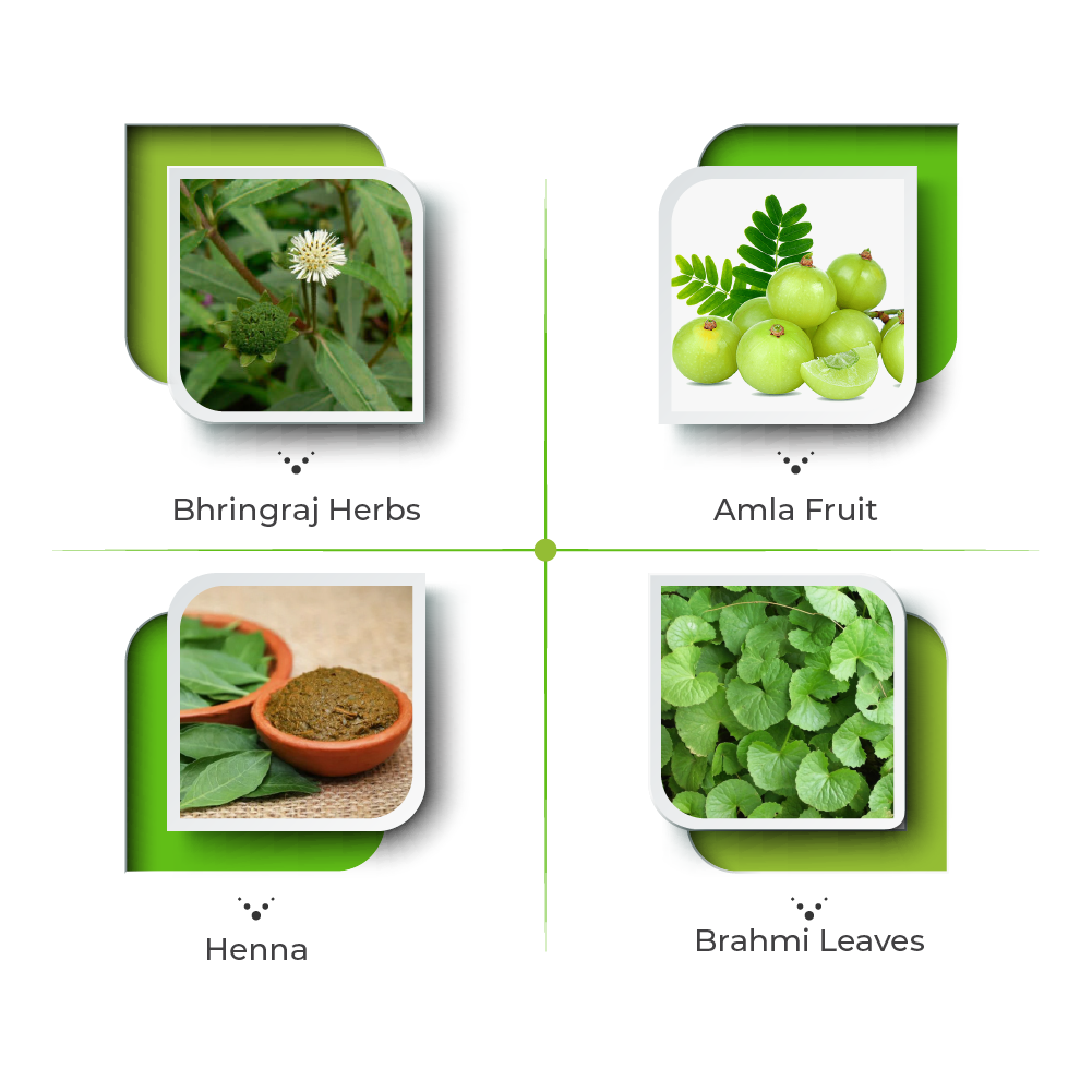 Ayurvedic Hair Care Products Ingredients