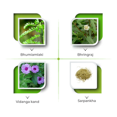 Stivil Syrup – Comprehensive Support for Liver Health