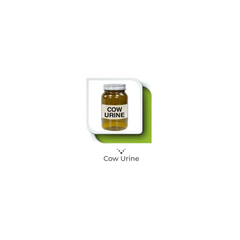 Urico-D Capsule – Natural Detox & Metabolic Support