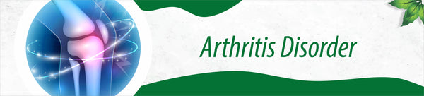 Ortho Group