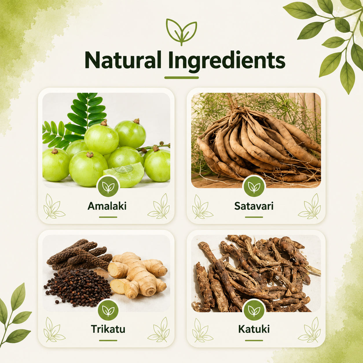 Bal Syrup – Natural Support for Healthy Appetite & Growth