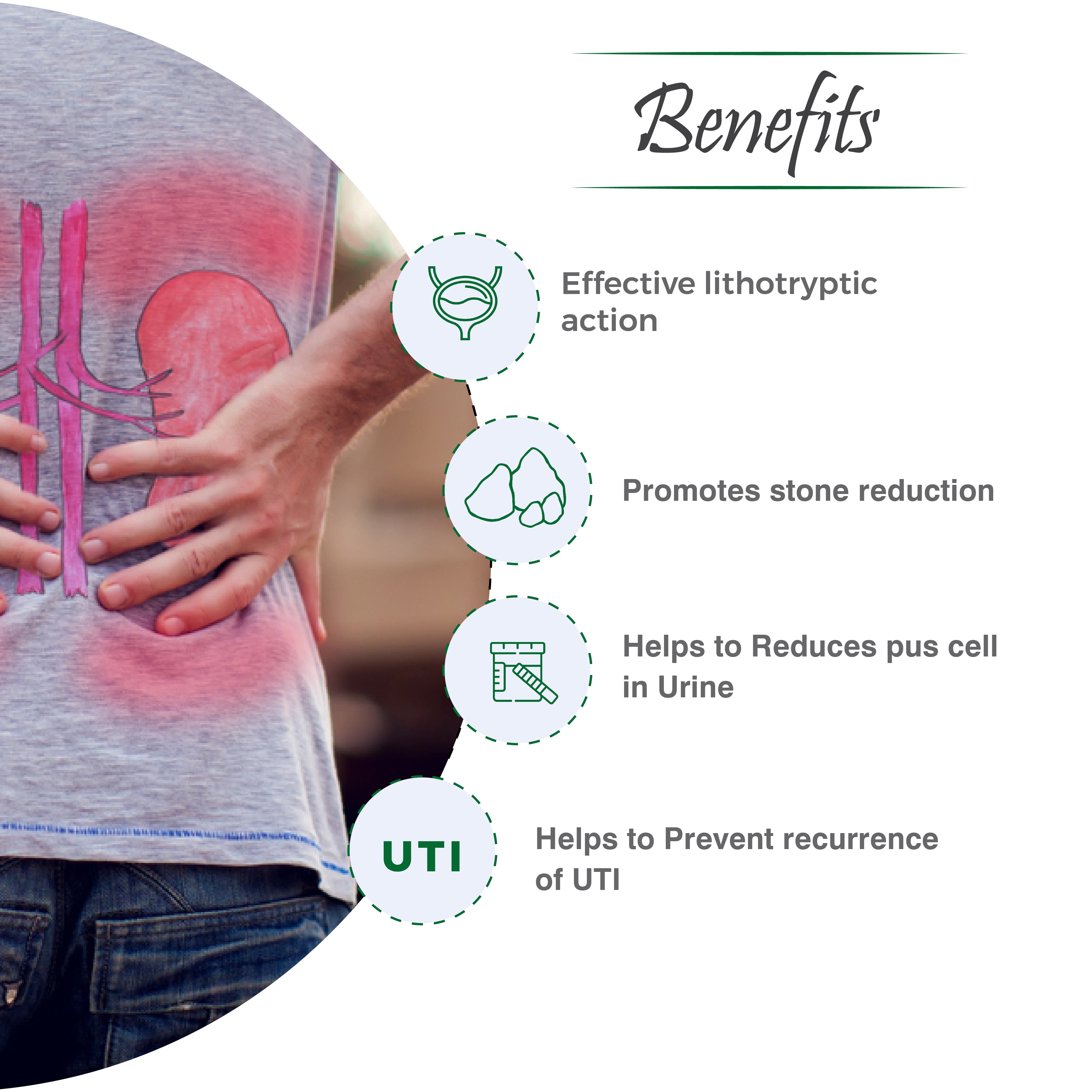 Rencal Capsule - The Precious Renal Guard