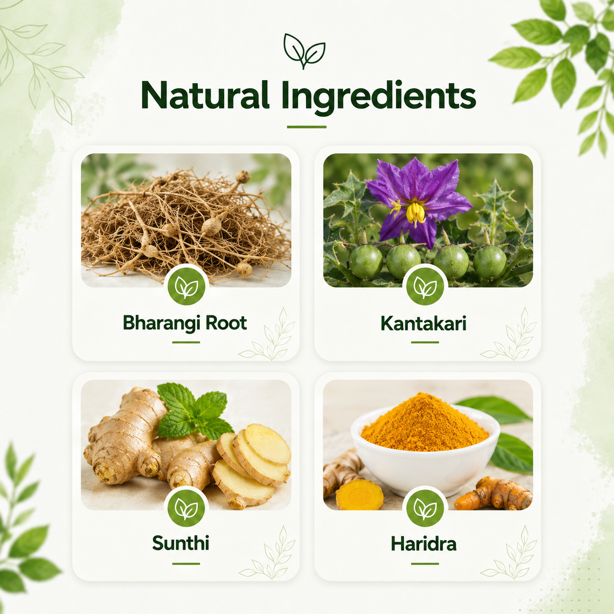 Brifril Syrup – Natural Support for Easier Breathing