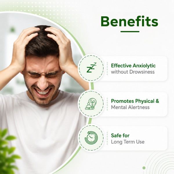 Hibril Oil – Calm Mind, Relaxed Body