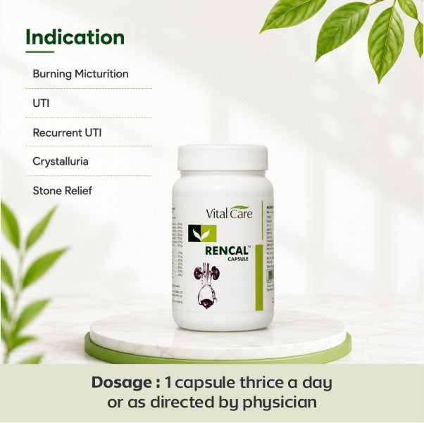Rencal Capsule – Natural Support for Kidney Health
