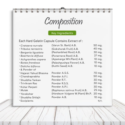 Rencal Capsule - The Precious Renal Guard