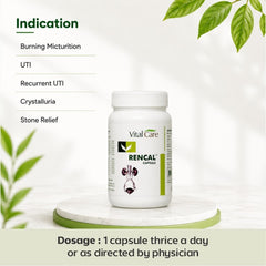Rencal Capsule – Natural Support for Kidney Health