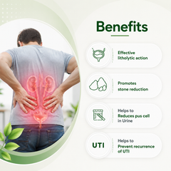 Rencal Syrup – Support for Healthy Kidneys & Urinary Comfort