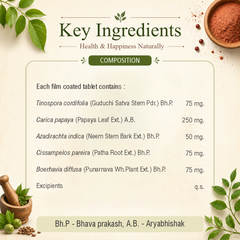 Vita Plat Capsule – Natural Support for Platelet Health