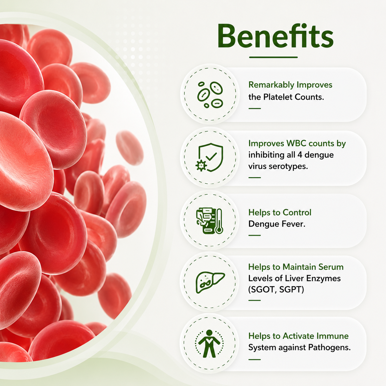 Vita Plat Capsule – Natural Support for Platelet Health