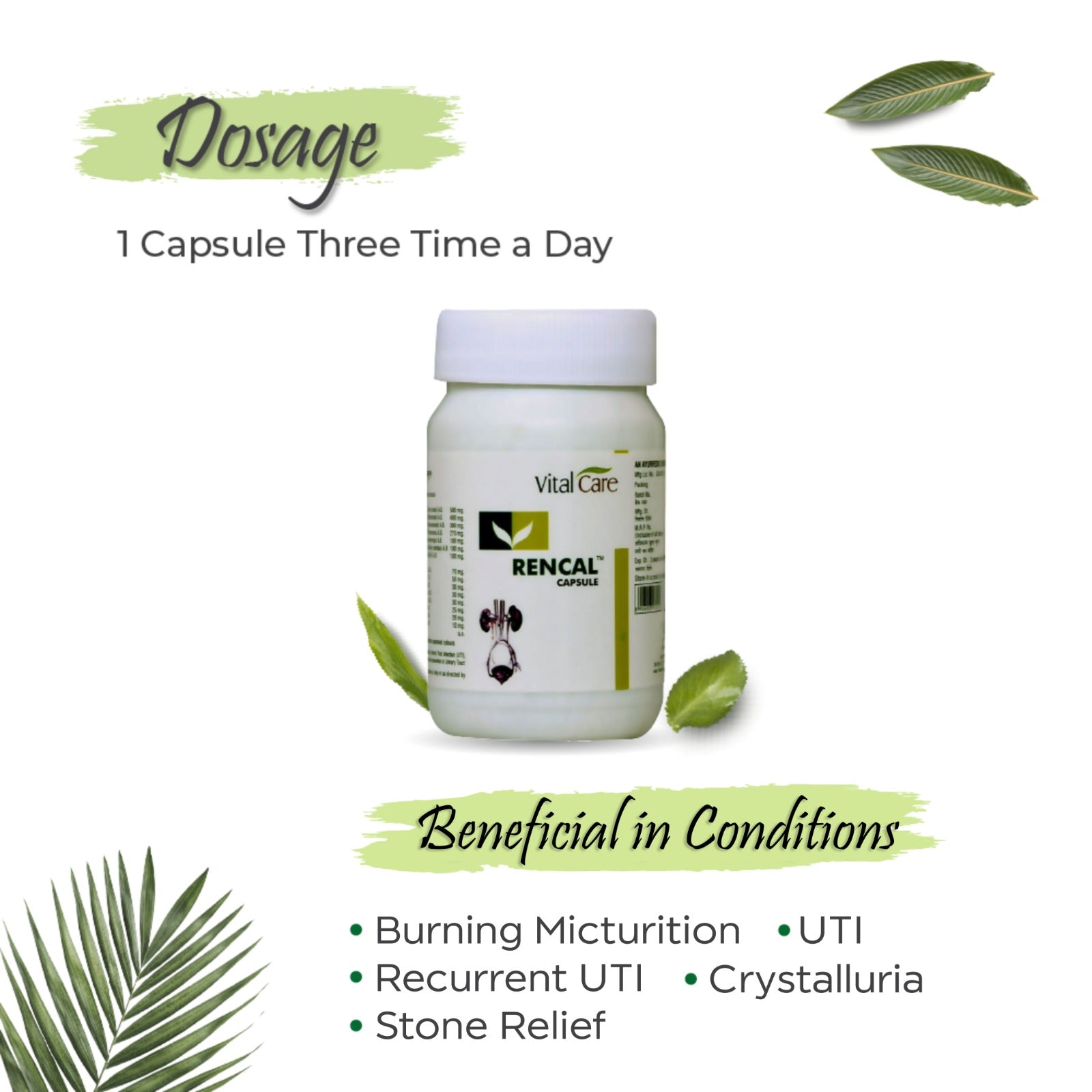 Rencal Capsule - The Precious Renal Guard