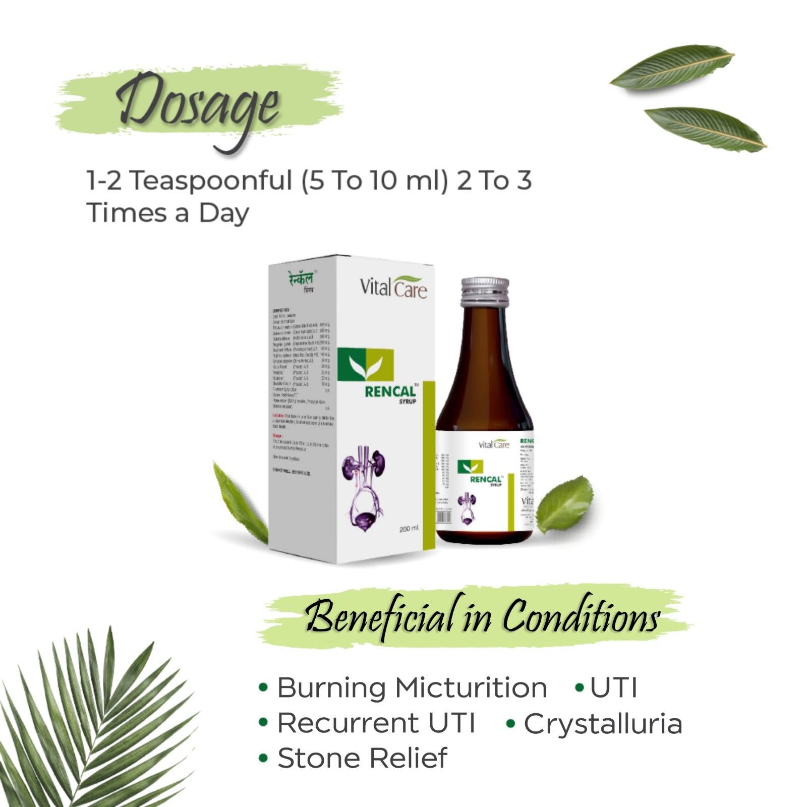 Rencal Syrup – Support for Healthy Kidneys & Urinary Comfort