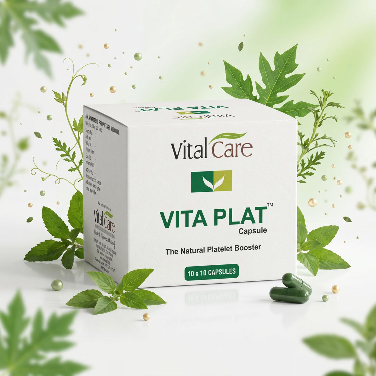 Vita Plat Capsule – Natural Support for Platelet Health