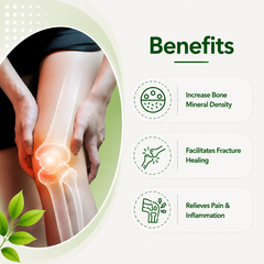 Abha Capsules – Natural Support for Bone Strength & Healing