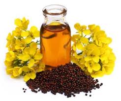 Sarsap Seed Oil