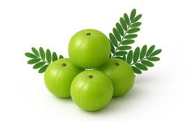Amla Fruit